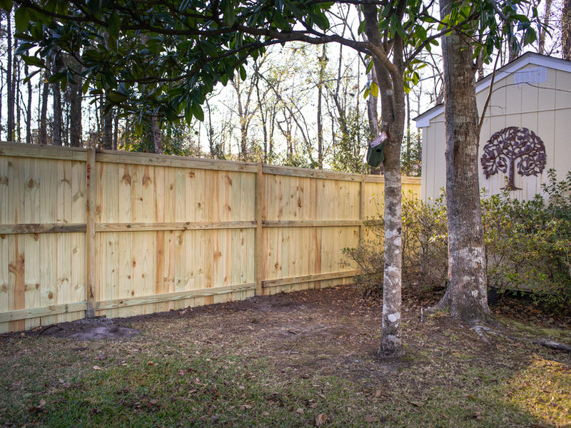 Cedar Fence