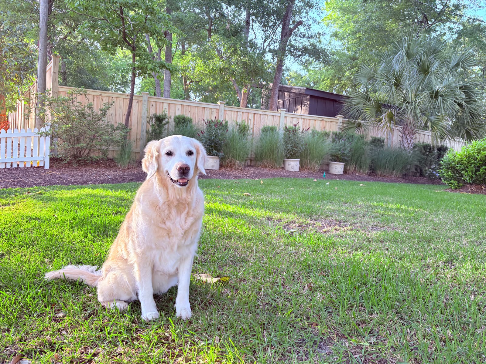 Fence installation by Flytrap Fence Company in Kure Beach, NC
